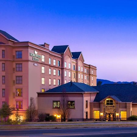 Homewood Suites By Hilton Ешвілл Екстер'єр фото